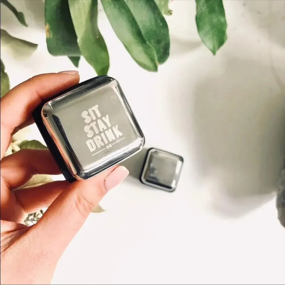 NEW Sit Stay Drink Silver Black Silicone Whiskey Drink Ice Cubes Square Frozen